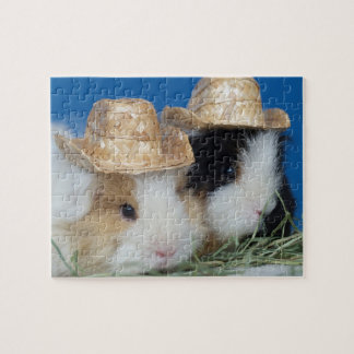 Rompecabezas de dos cobayas adorables