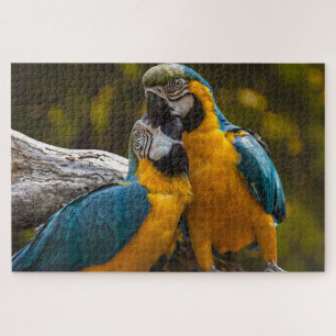 Rompecabezas de Dos Loros Aves Tropicales