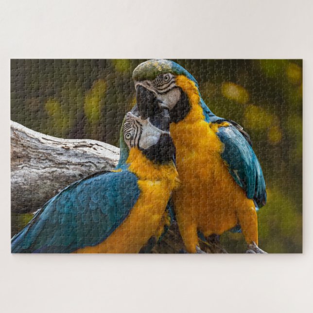 Rompecabezas de Dos Loros Aves Tropicales (Horizontal)