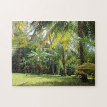 Rompecabezas de El Zonte