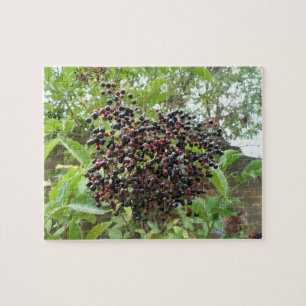 Rompecabezas de Elderberries