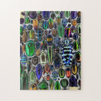 Rompecabezas de errores