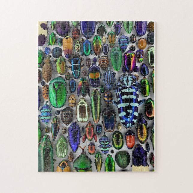 Rompecabezas de errores (Vertical)