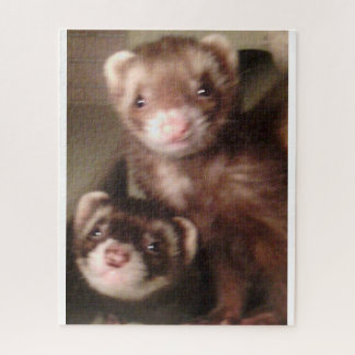 rompecabezas de ferret
