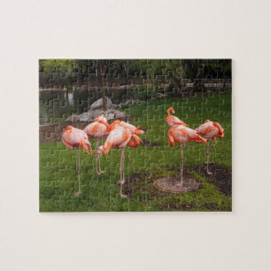 Rompecabezas de flamencos