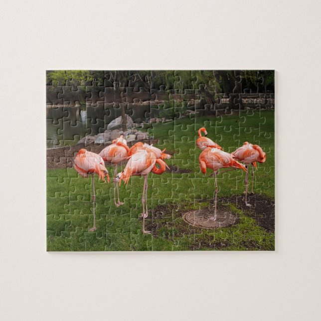 Rompecabezas de flamencos (Horizontal)