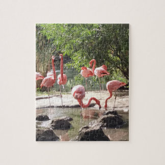 Rompecabezas de Flamingo