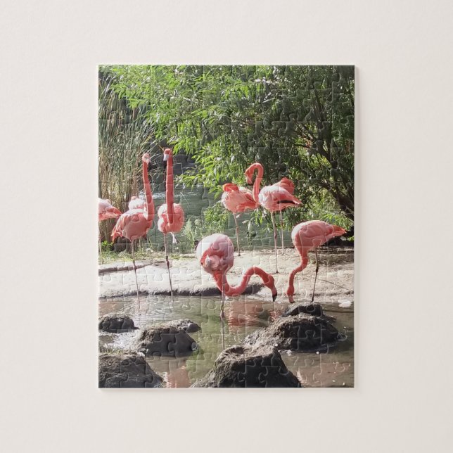 Rompecabezas de Flamingo (Vertical)