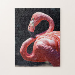 Rompecabezas de Flamingo