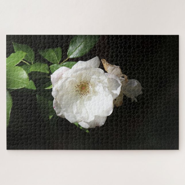 Rompecabezas de Flor Blanca Sencilla (Horizontal)