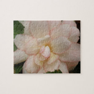 Rompecabezas de flor de Begonia blanca