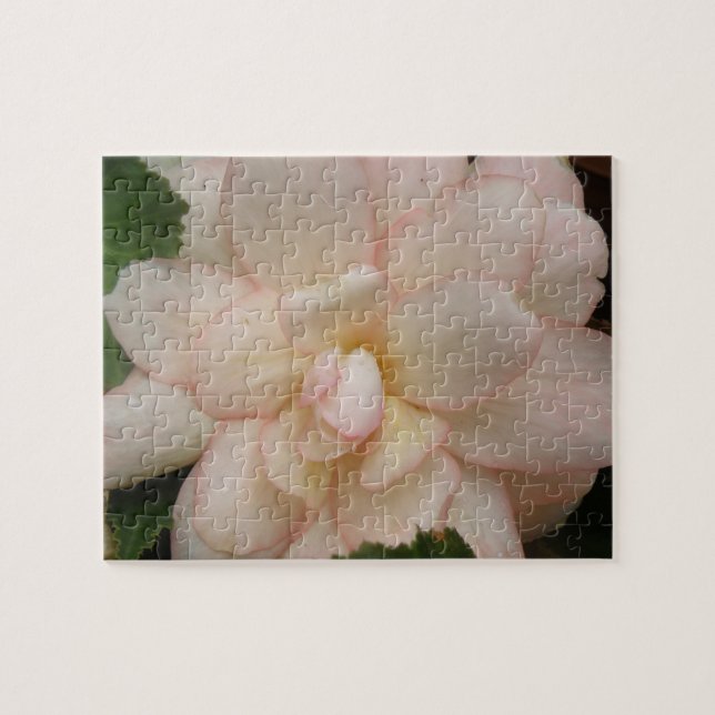 Rompecabezas de flor de Begonia blanca (Horizontal)
