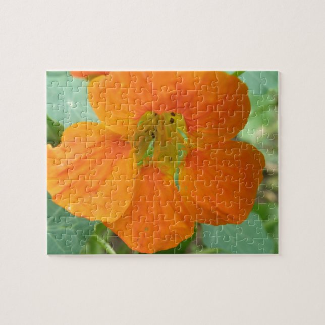 Rompecabezas de flor de bonito Nasturtium (Horizontal)