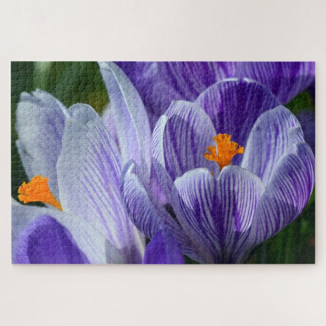 rompecabezas de flor de crocus (Horizontal)