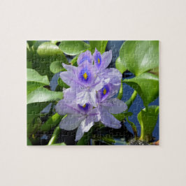 Rompecabezas de flor de lavanda de agua Hyacinder