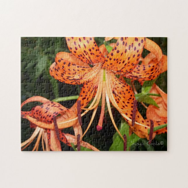 Rompecabezas de Flor de Lirio de Tigre Naranja (Horizontal)