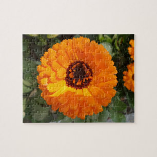 Rompecabezas de Flor de Naranja