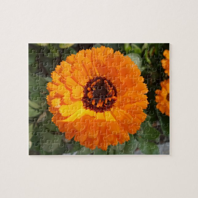 Rompecabezas de Flor de Naranja (Horizontal)
