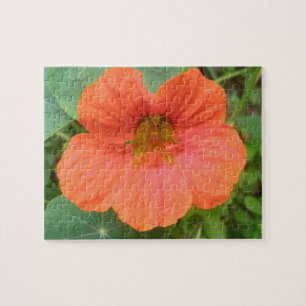 Rompecabezas de flor del naranja Nasturtium