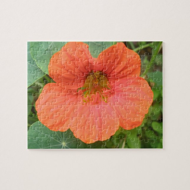 Rompecabezas de flor del naranja Nasturtium (Horizontal)
