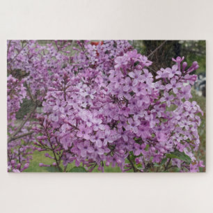 Rompecabezas de Flor Rosa