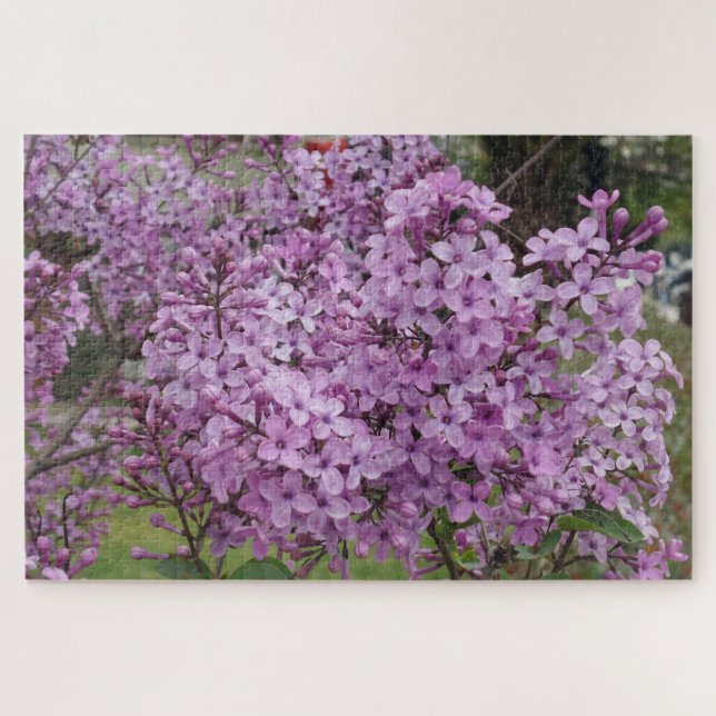 Rompecabezas de Flor Rosa (Horizontal)