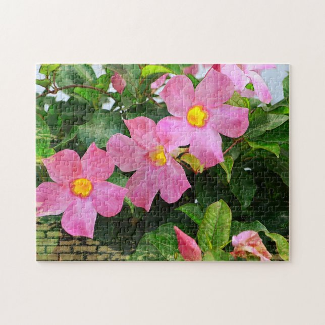 Rompecabezas de flor rosa (Horizontal)