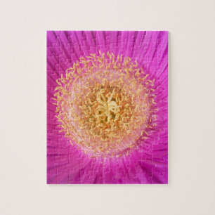 Rompecabezas de flor rosa