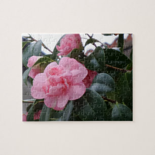 Rompecabezas de Flor Rosa