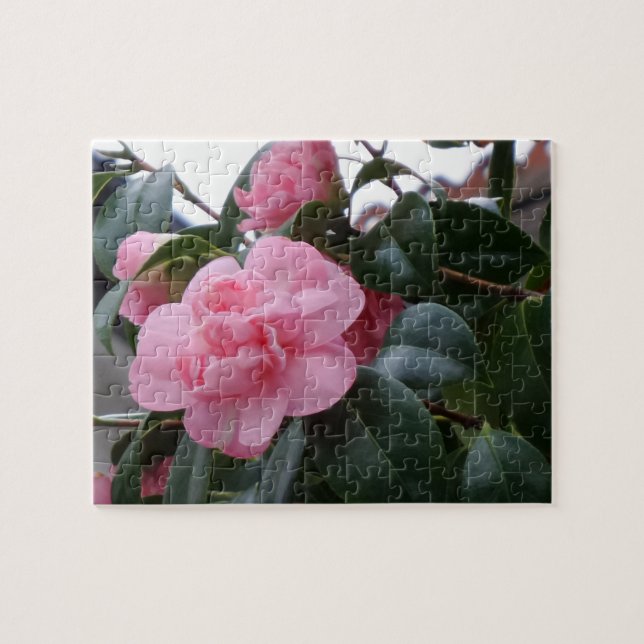 Rompecabezas de Flor Rosa (Horizontal)