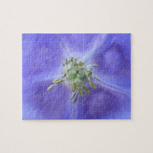 Rompecabezas de flores Aquilegia