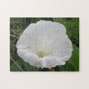 Rompecabezas de flores blancas convolvulsas