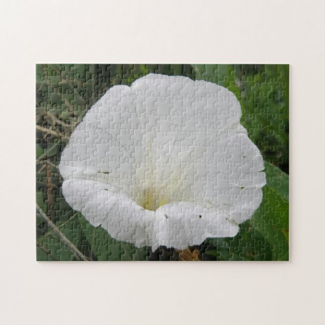 Rompecabezas de flores blancas convolvulsas (Horizontal)