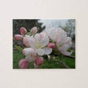 Rompecabezas de flores blancas rosadas