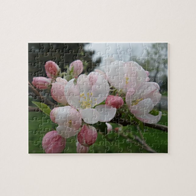 Rompecabezas de flores blancas rosadas (Horizontal)