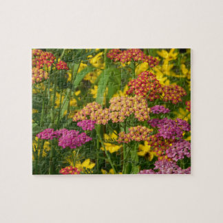 Rompecabezas de flores de jardín coloridas