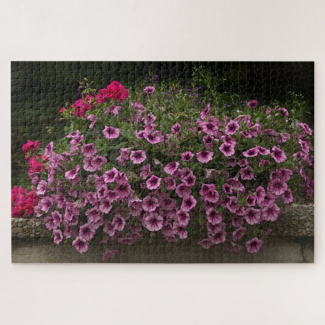 rompecabezas de flores de petunia y geranio (Horizontal)