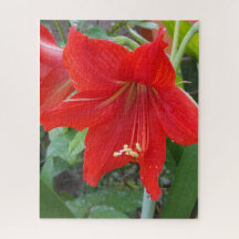 Rompecabezas de flores rojas