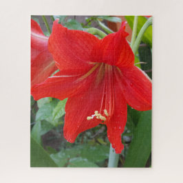 Rompecabezas de flores rojas