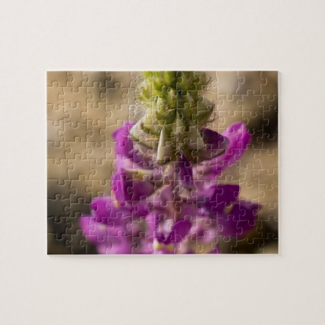 Rompecabezas de flores silvestres 4 (Horizontal)