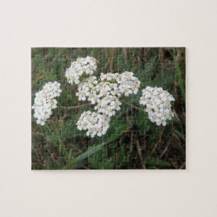 Rompecabezas de flores silvestres blancas