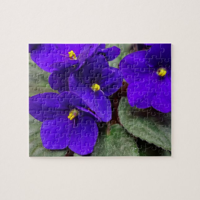 Rompecabezas de flores violentas africanas (Horizontal)