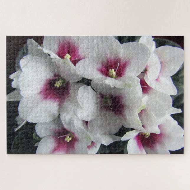 rompecabezas de flores violetas rosadas africanas (Horizontal)