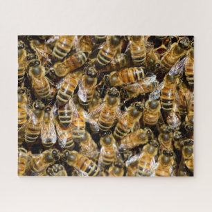 Rompecabezas de foto de abejas