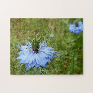 Rompecabezas de foto de Cornflower