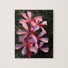 Rompecabezas de Foto de Flores Rosadas 8x10 con Ca
