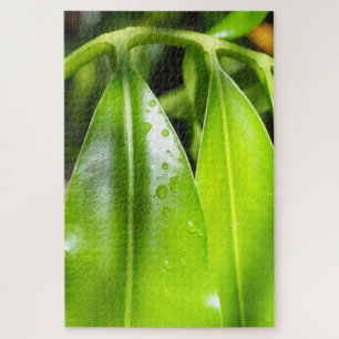 Rompecabezas de Foto de Hojas Verdes Tropicales