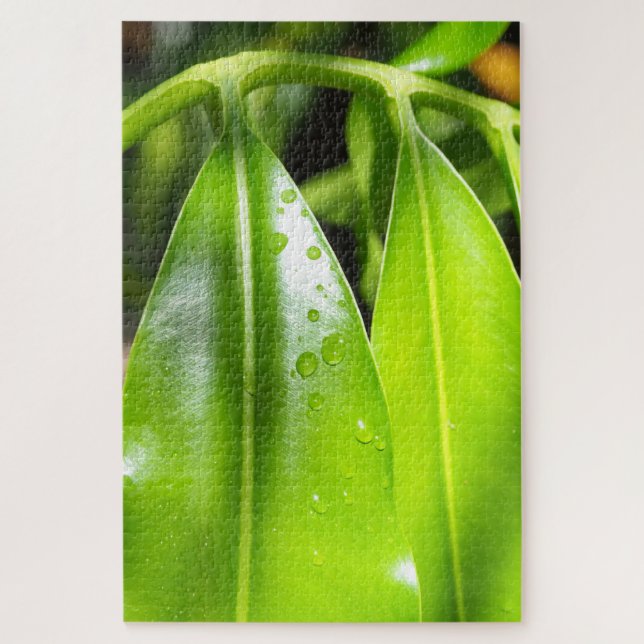 Rompecabezas de Foto de Hojas Verdes Tropicales (Vertical)