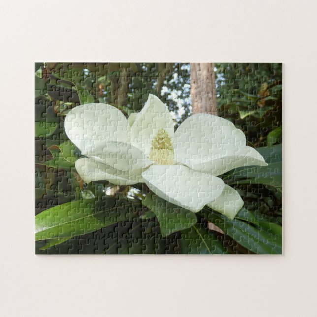 Rompecabezas de foto de Magnolia Grandiflora con c (Horizontal)