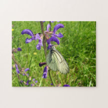 Rompecabezas de foto de mariposa blanca con venas